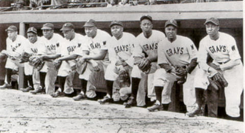 Homestead Grays